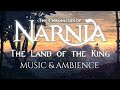 The Chronicles of Narnia Ambient Music | Music and Ambience Film Soundtrack