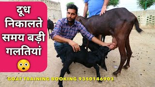 दूध निकालते समय जरूरी बातें | How To Proper Milking Goat by Hand in India