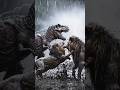 Lion vs Dinosaur Battle in the Lost Jungle | Cinematic AI Fight 🐅 vs🐲#shorts #viral #shortsfeed