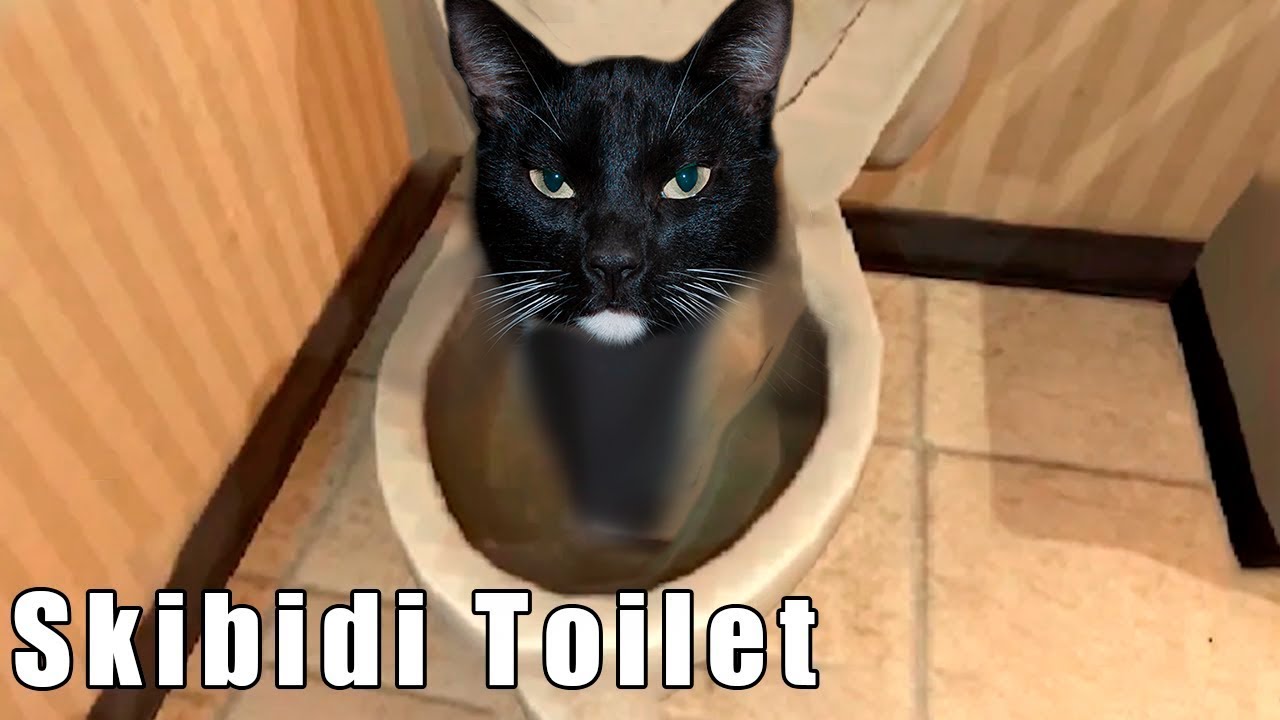 Skibidi Toilet - Cat Song - YouTube