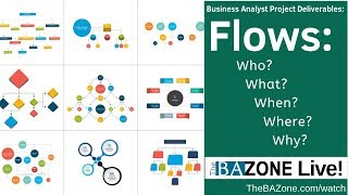 Flows: Who What When Where Why - Business Analyst Project Deliverables