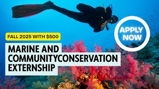 How YOU Can Join a National Geographic Program in 2025!