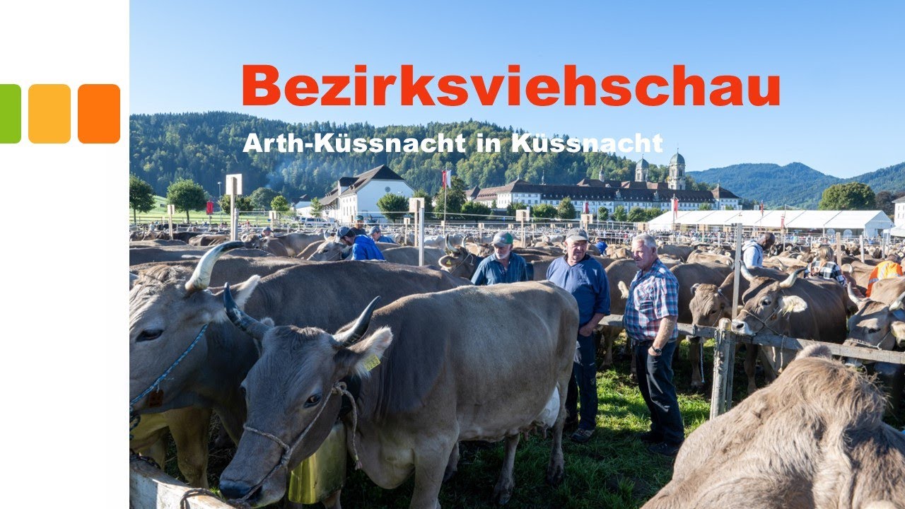 Bezirksviehschau Küssnacht
