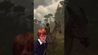 ? Todas las MONTURAS de Hogwarts Legacy y dónde encontrarlas ?