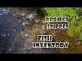 IPBio project snippet: Fish Inventory