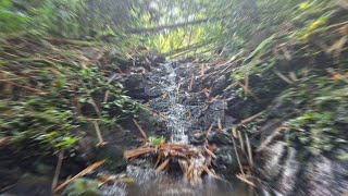 river flow with piano tunes