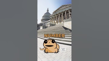 Congress Activity Report | November 13th