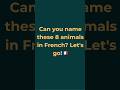 Day16 French Animal vocabulary #learnfrench#frenchlanguage#shorts
