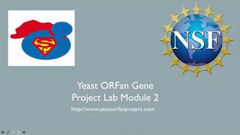 Lab Module 2 Yeast ORFan Gene Project