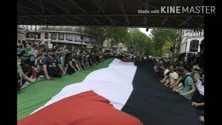 story WA Iwan fals - Palestina