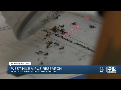 ویسٹ نیل وائرس پر تحقیق جاری ہے۔