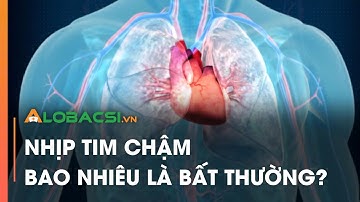 Nhịp tim chậm, bao nhiêu là bất thường? | Video AloBacsi