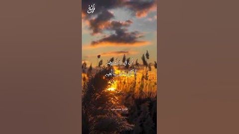 فَاسْتَعِذْ بِاللَّهِ ۖ - القارئ: محمد دياب