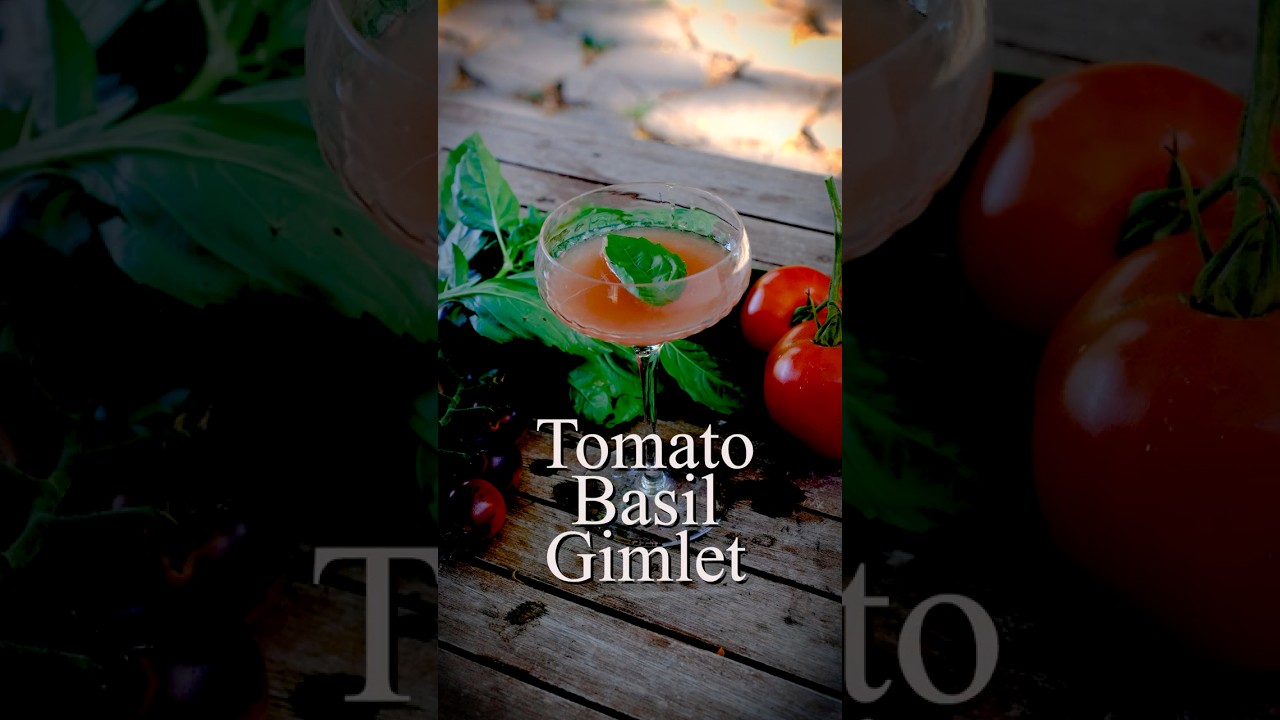 Tomato Gimlet the best cocktail for tomato season