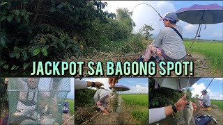 SWERTE SA BAGONG BINGWIT AT LALAGYAN NG ISDA! ANDAMING ISDA! | BUHAY PROBINSYA