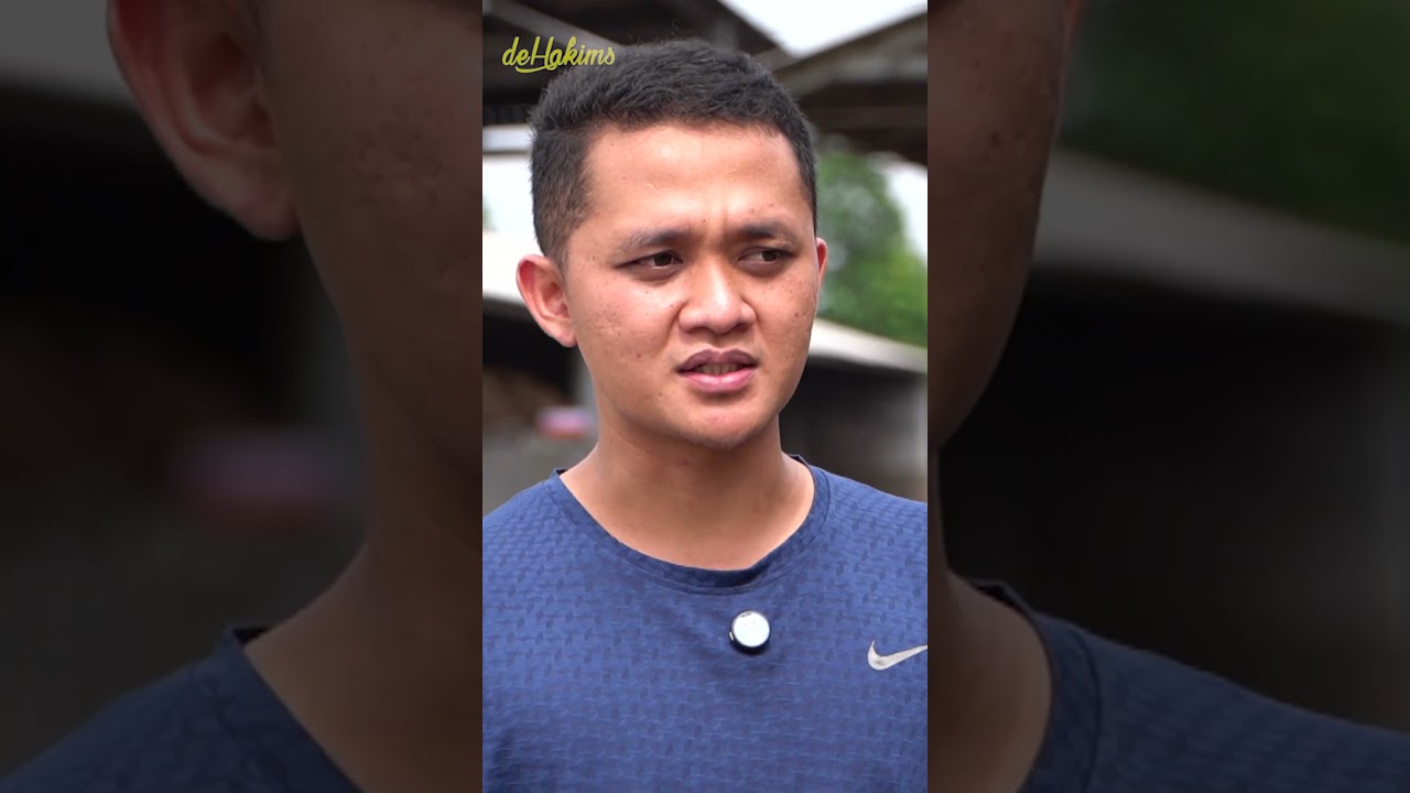 I Discovered 7 RARE Jumbo Sapi from Pulau Sumatra