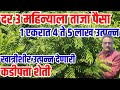 Fresh money every 3 months 5 lakh income from 1 acre 25 years fixed money kadipatta farming visionvarta