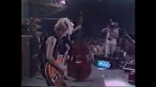 Watch Stray Cats Drink That Bottle Down video