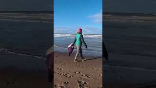 dogs catching ball on the beach . hague city Netherlands.