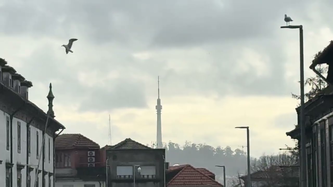 Portugal 57 Porto - Walking｜R.de 31 de Janeiro｜R.de Passos Manuel｜Praça dos Poveiro｜Largo da Ramad…