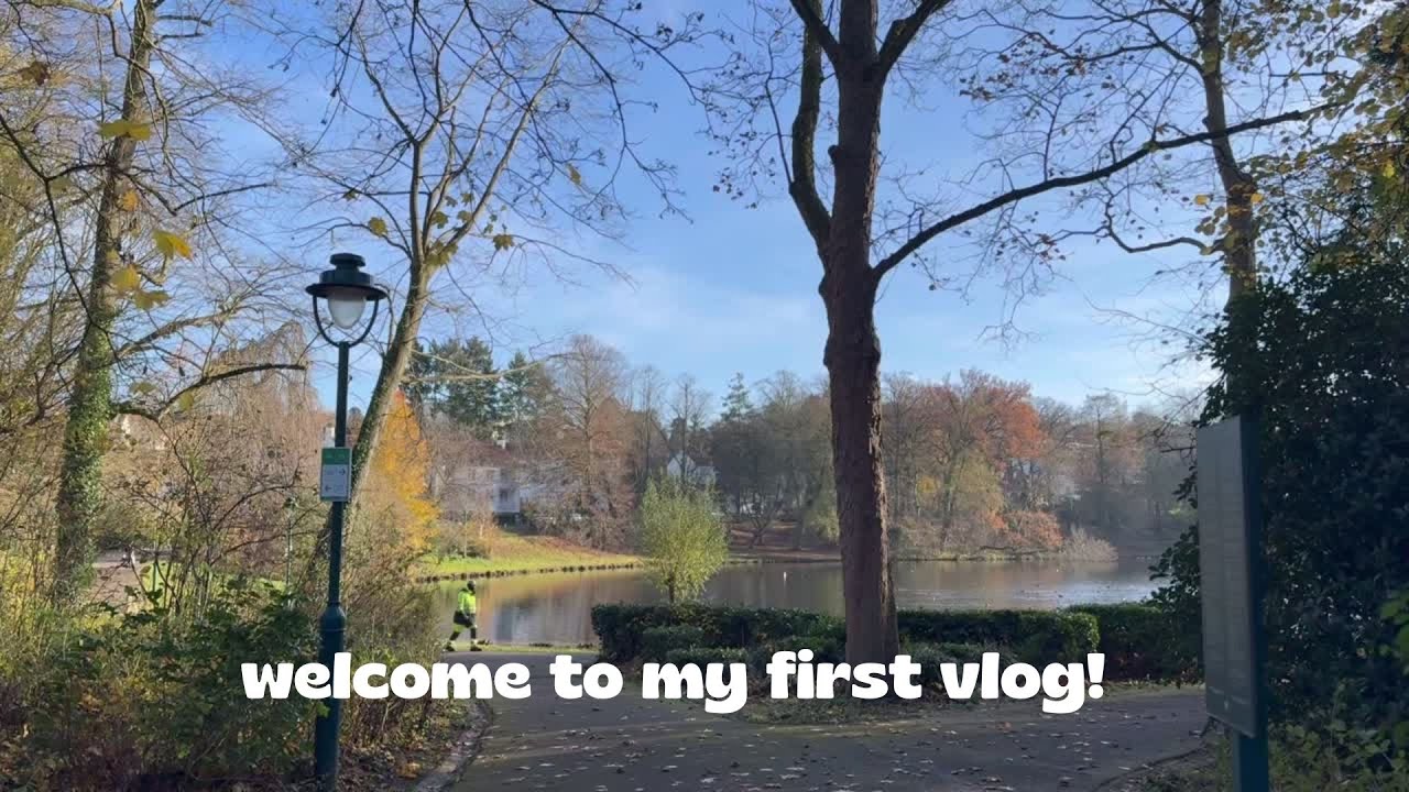 december in brussels  - slow life, christmas markets