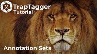 TrapTagger: Annotation Sets