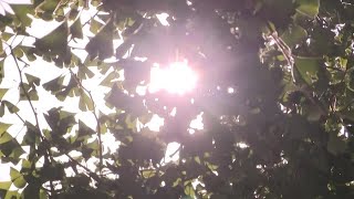 'The public needs to be vigilant': Heat, fire weather warnings in place for the Central Coast