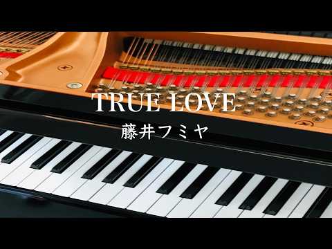 TRUE LOVE     藤井フミヤ　ピアノ　pf