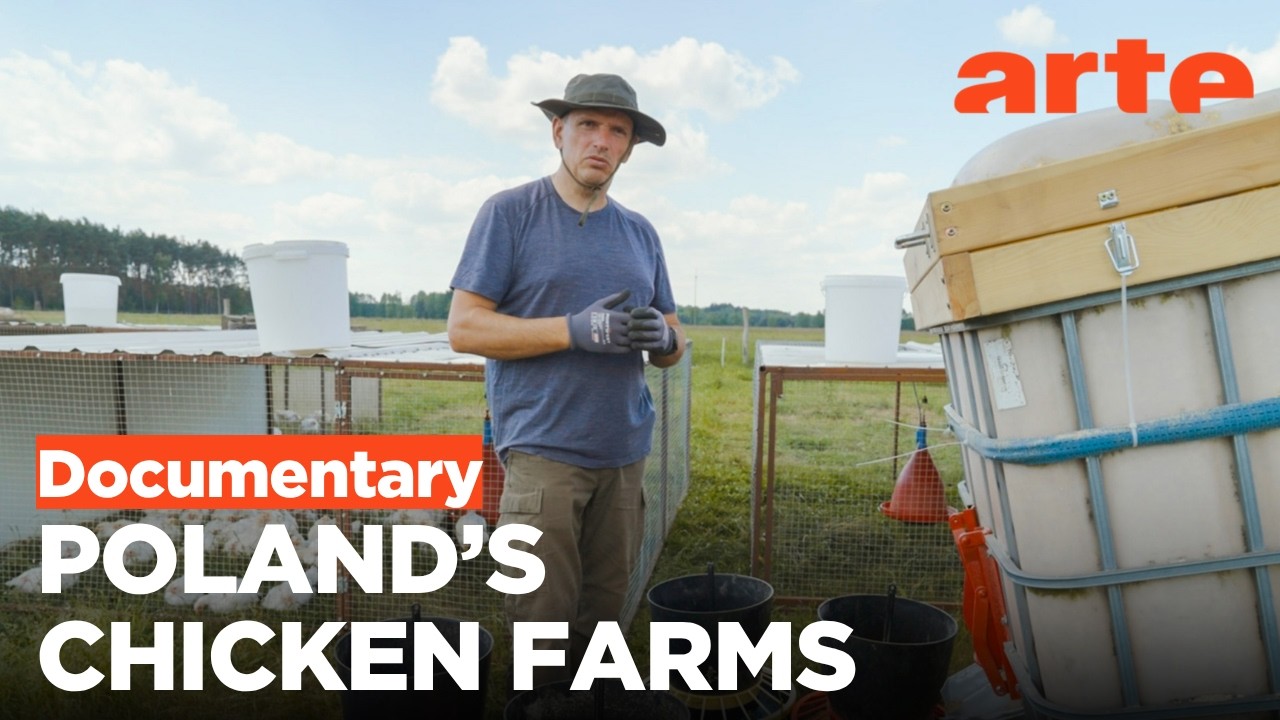 The Village with One Million Chickens