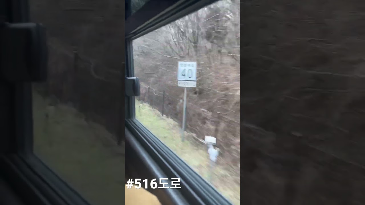 #516도로#멀미
