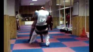 Tur Oşak Halis Avşar