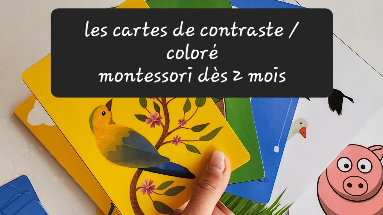 Oh ! Regarde mon Bébé ! Livre de Contraste pour Bébés de 2 à 4 Mois: Livre  d'Éveil basé sur le Principe des Cartes Noir et Blanc Montessori (French  Edition): Les livres