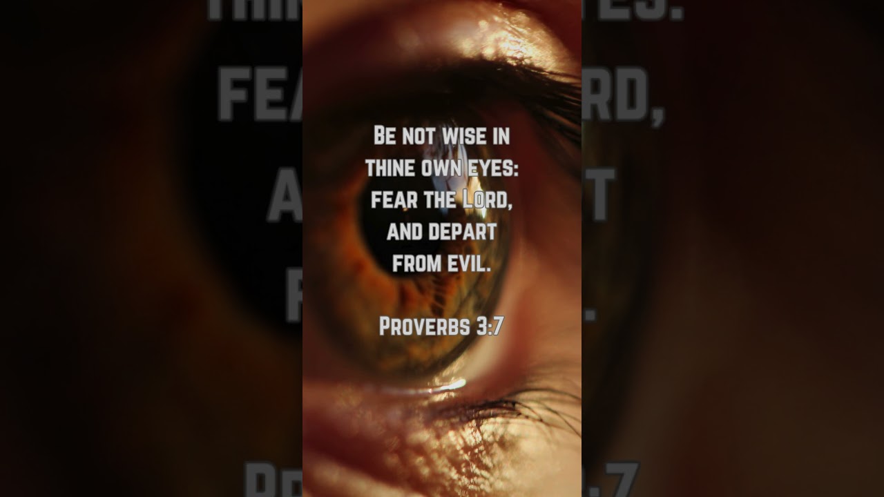 Wisdom Series - Day 3 