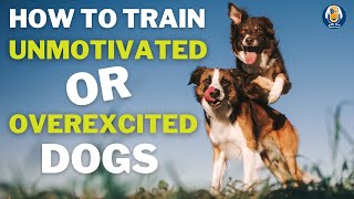 How to Train Unmotivated or Overexcited Dogs #86