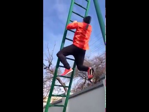 Видео YouTube
