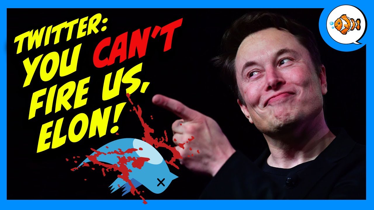 Twitter Employees DEMAND That Elon Musk Not Fire Them!