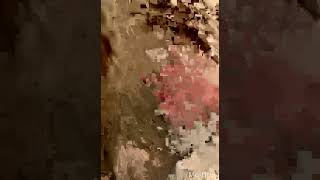 I thought I was awake 😭