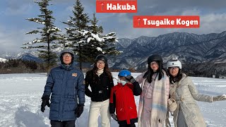 Tsugaike Kogen! Snow Car, Marshmallow \u0026 Omurice ❄️ Hakuba Day 3
