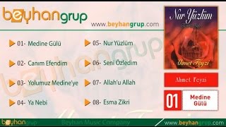 Ahmet Feyzi - Medine Gülü Resimi