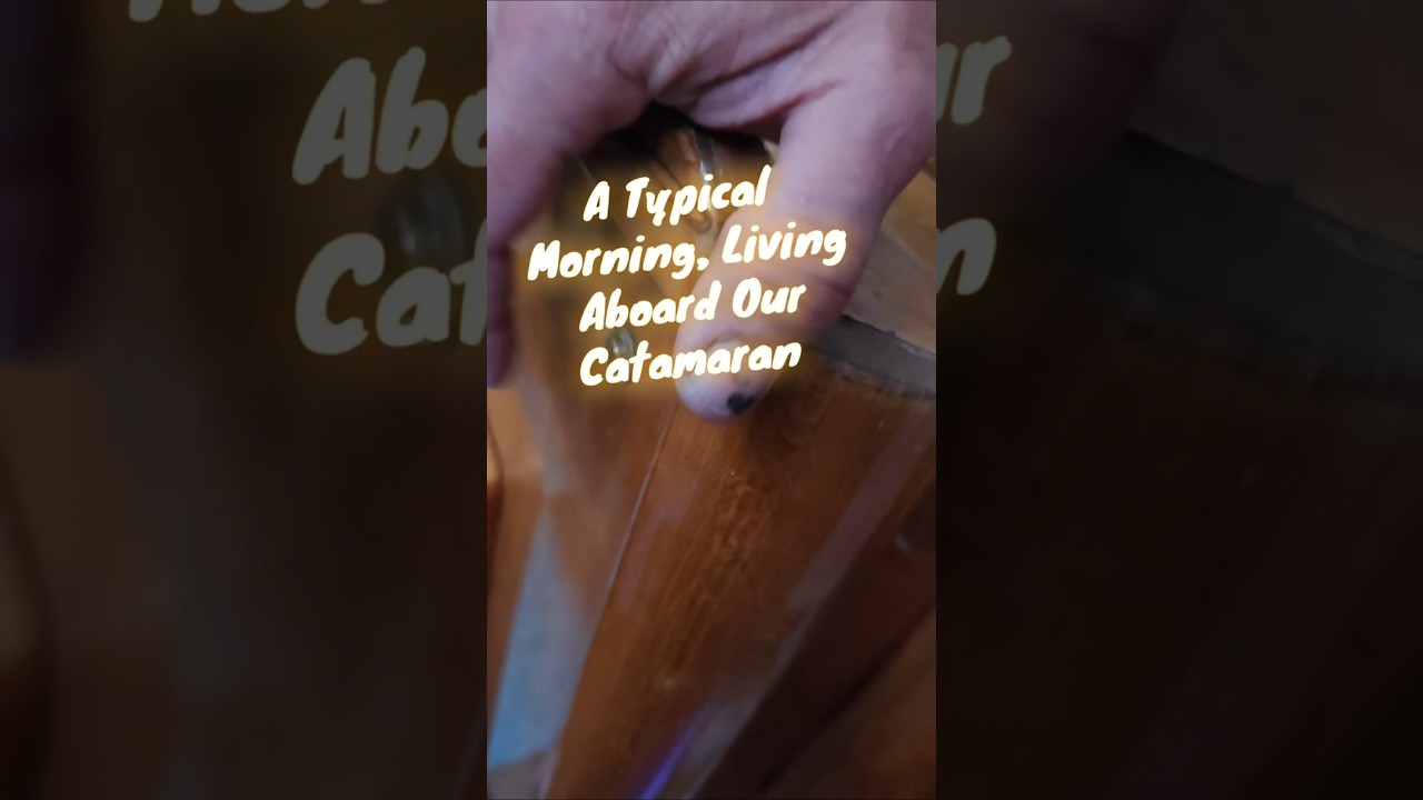 ⁣This is a typical morning routine,  living aboard our catamaran,  GalaxSea
