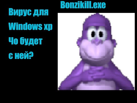 Вирус Bonzikill exe Как он уничотжает ПК