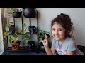 Spooky Halloween Planters - A Sunday DIY vlog with my Lizzy Monster!