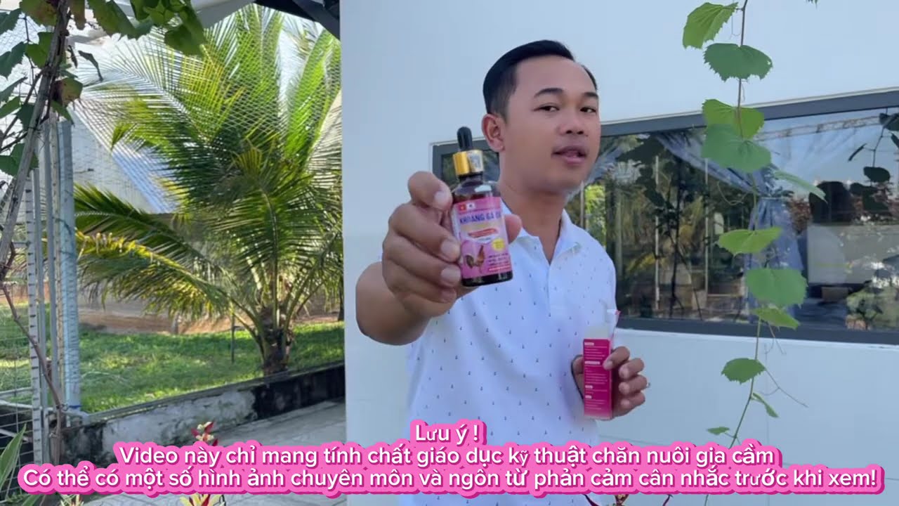 Cải thiện thể trạng cho gia cầm và top hoa hậu Duyên Ti 3/3/26