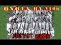 Охота на уток! Уток много! Отличные выстрелы! Август 2020! Duck Hunting of Yakutia!