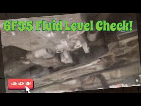 Checking Transmission Fluid Level | Ford Escape, Fusion, Transit Connect, Explorer 4-Cyl