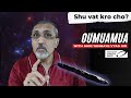 Shu vat karo chho Oumuamua | Space Rock / Alien