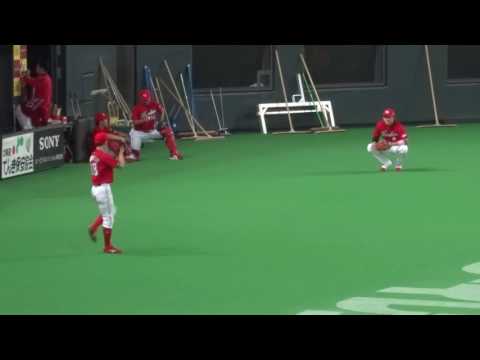 丸、石原のモノマネ？2016年 日本シリーズ 第3戦 広島東洋カープ 札幌ドーム 現地