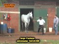 La previa con TACUCHIN - INSECTO - CAPITAN - CHUPETIN - MATACO