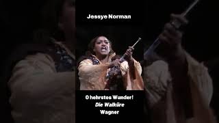 Varnay vs Norman vs Davidsen: Who Nailed 'O hehrstes Wunder' #Opera #Vocal #richardwagner #ring
