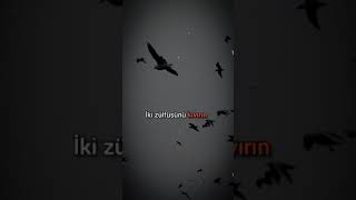 Çok Güzel Kürtçe Whatsapp Durum Videosu Kısa 32